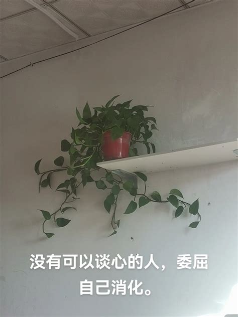 做爱那些事